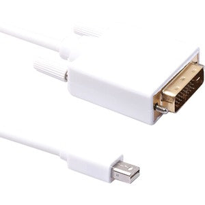 Axiom DisplayPort/DVI-D Video Cable