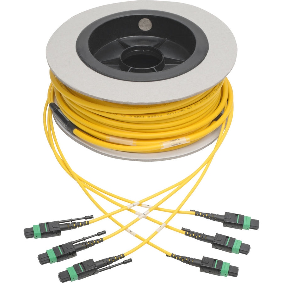 Tripp Lite MTP/MPO APC Singlemode Slim Trunk Cable 40/100 Gbe 24-Strand 30M