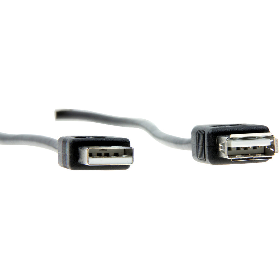 Rocstor Premium 6 ft USB 2.0 Extension Cable A Male to A Female - M/F - USB - 6 ft - 1 Pack - 1 x Type A Male - 1 x Type A Female -Black - USB A MALE TO A FEMALE CABLE
