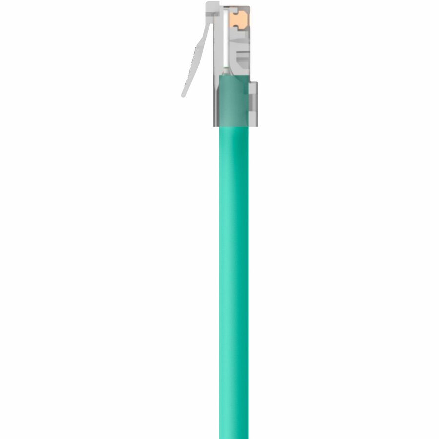 Belkin CAT6 Ethernet Patch Cable, RJ45, M/M