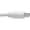 Tripp Lite 10ft Mini DisplayPort to DisplayPort Adapter Cable 4K x 2K M/F, MDP to DP 10'
