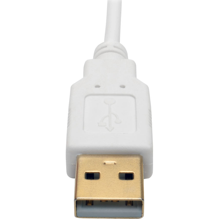 Tripp Lite 6" Mini DisplayPort to DVI-D Adapter Dual Link Active MDP to DVI Thunderbolt 1 & 2 Compatible