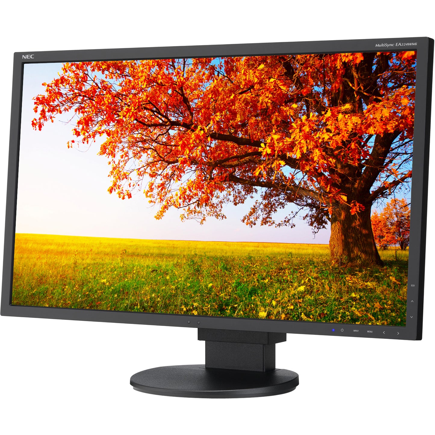NEC Display MultiSync EA224WMi 22" Full HD LED LCD Monitor - 16:9 - Black