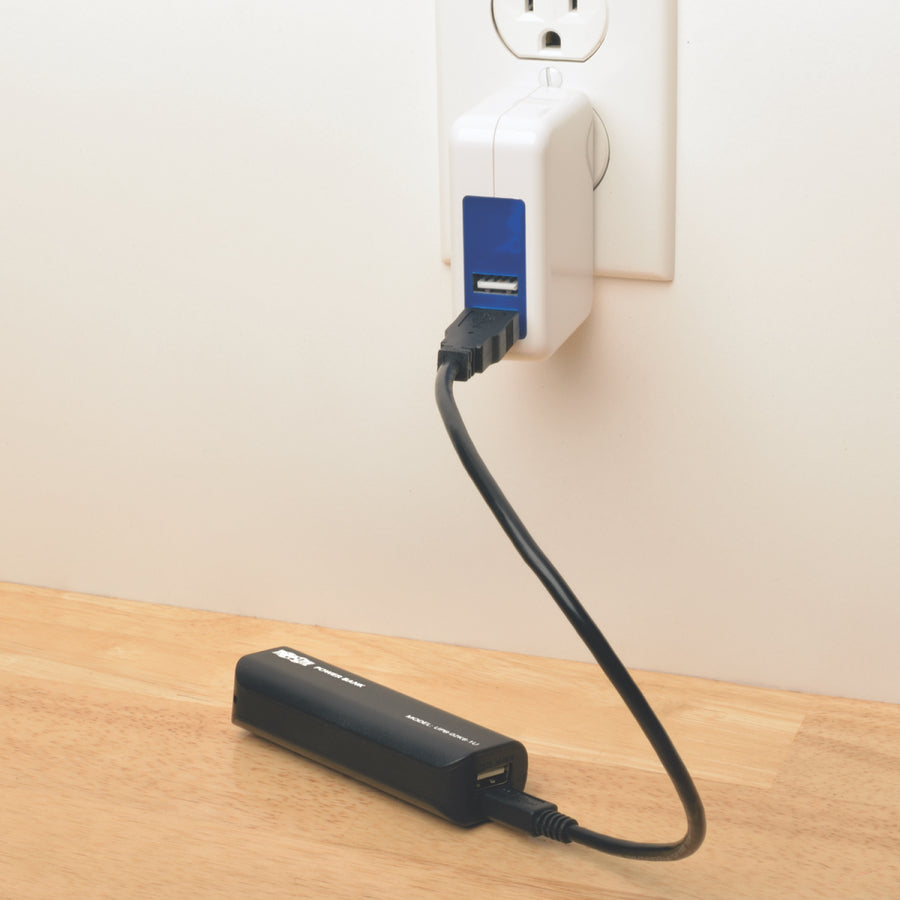Tripp Lite Portable 1-Port USB Battery Charger Mobile Power Bank 2.6k mAh