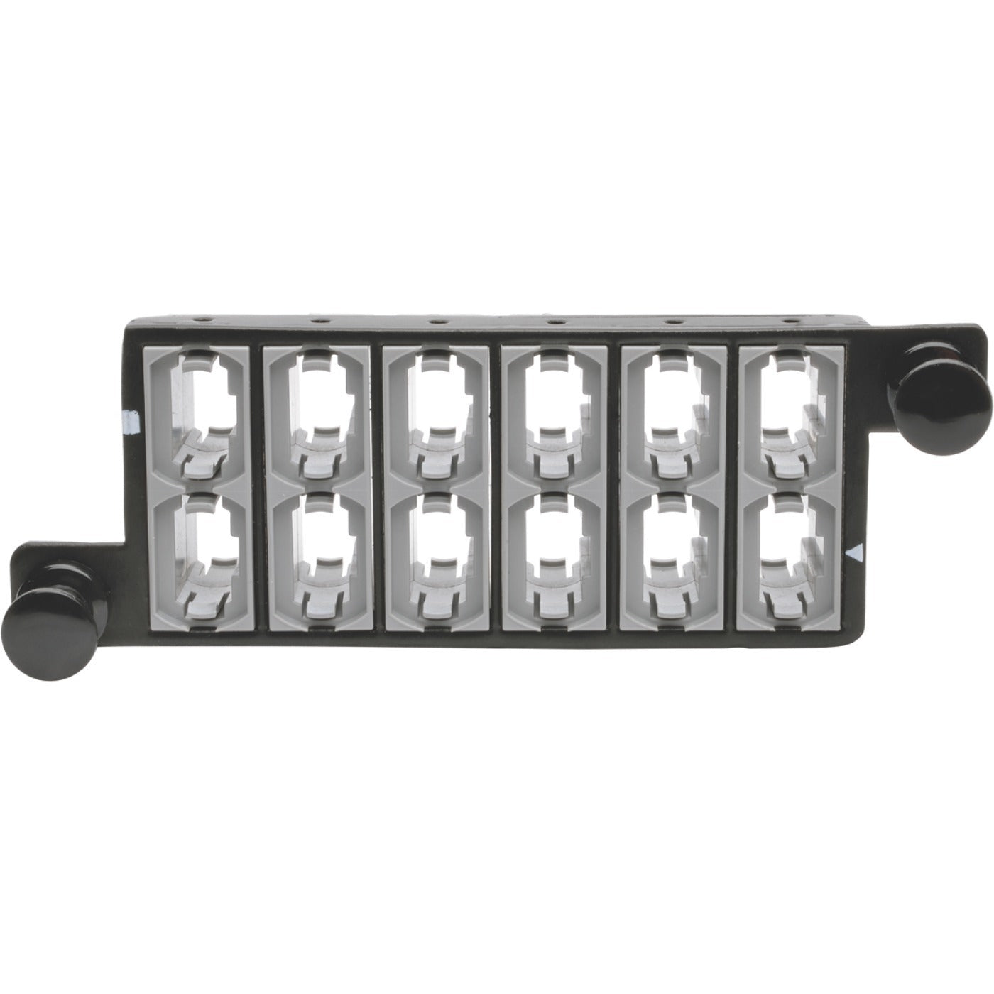 Tripp Lite 12-Fiber Patch Panel MTP/MTO x 12 40Gb Pass Through Cassette