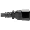 Tripp Lite Power Extension Cord C20 to Locking C19 M/F 12AWG 20A Black 10ft