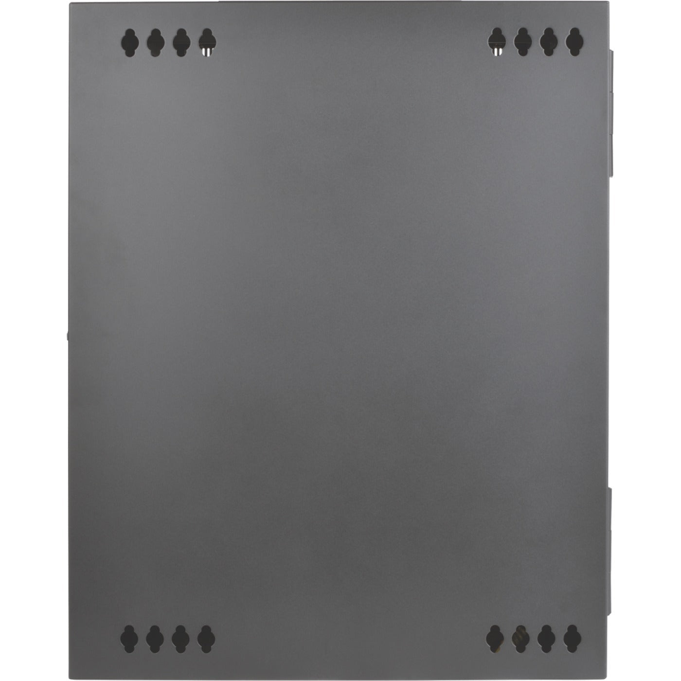 Tripp Lite 15U Wall Mount Rack Enclosure Server Cabinet w Hinged Acrylic Window