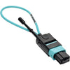 Tripp Lite MTP / MPO Fiber Optic Loopback Tester Multimode 50/125um OM3