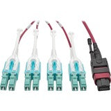 Tripp Lite 3M MTP MPO 8xLC 50/125 OM4 Fanout Patch Cable 12 Fiber 40GB CMP