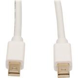 Tripp Lite 6ft Mini DisplayPort to Mini DisplayPort Adapter Converter mDP to mDP M/M 4K x 2K @ 60Hz