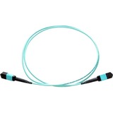 Axiom MPO Female to MPO Female Multimode OM4 50/125 Fiber Optic Cable - 20m