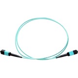 Axiom MPO Female to MPO Female Multimode OM4 50/125 Fiber Optic Cable - 1m