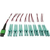 Tripp Lite Multimode Fiber Optic Breakout Cable 16F MTP/MPO-APC to x8 LC F/M 3M