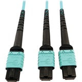 Tripp Lite Multimode Fiber Optic Cable 24F MTP/MPO-PC to x2 12F MTP/MPO-PC F/F 5M