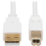 Tripp Lite Safe-IT USB-A to USB-B Antibacterial Cable (M/M), USB 2.0, White, 10 ft.
