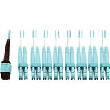 Tripp Lite Multimode Fiber Optic Breakout Cable 24F MTP/MPO-PC to x8 LC F/M 1M