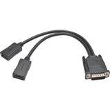 Tripp Lite 1ft DMS-59 to Dual DisplayPort Splitter Y Cable M/Fx2