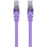 Belkin CAT6 Ethernet Patch Cable Snagless, RJ45, M/M