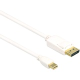 Axiom DisplayPort/Mini DisplayPort Audio/Video Cable