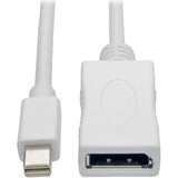 Tripp Lite 10ft Mini DisplayPort to DisplayPort Adapter Cable 4K x 2K M/F, MDP to DP 10'