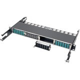 Tripp Lite 100Gb / 120Gb Pass-Through Cassette 12 24-Fiber MTP / MPO